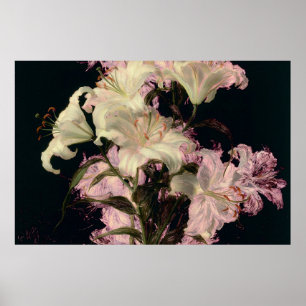 Weiße Lilien auf dunklem Hintergrund - Florale Kun Poster