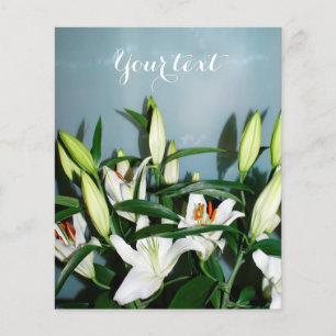 Weiße Lilien Flyer