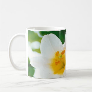 Weiße Lilien - Lilienblume Lilium candidum Kaffeetasse