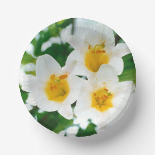 Weiße Lilien - Lilienblume Lilium candidum  Pappteller