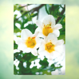 Weiße Lilien - Symbol der Liebe Fensteraufkleber
