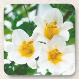 Weiße Lilien - Symbol der Liebe Getränkeuntersetzer