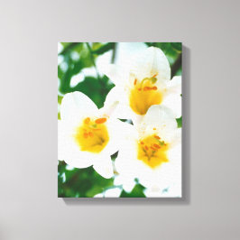 Weiße Lilien - Symbol der Liebe Leinwanddruck