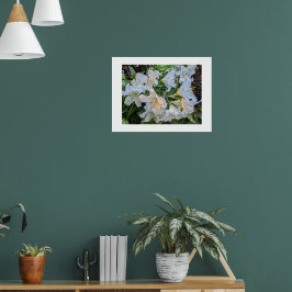 Weiße Lilienblüten florales fotografisches Poster