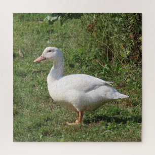 weiße Linsen, Enten auf der Wiese, gesund essen Puzzle