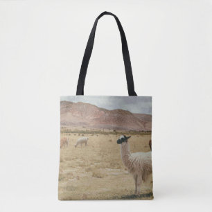 WEISSE LLAMA AUF BROWN GRASS