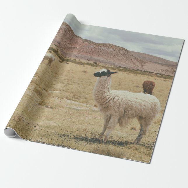 WEISSE LLAMA AUF BROWN GRASS GESCHENKPAPIER (Ungerollt)