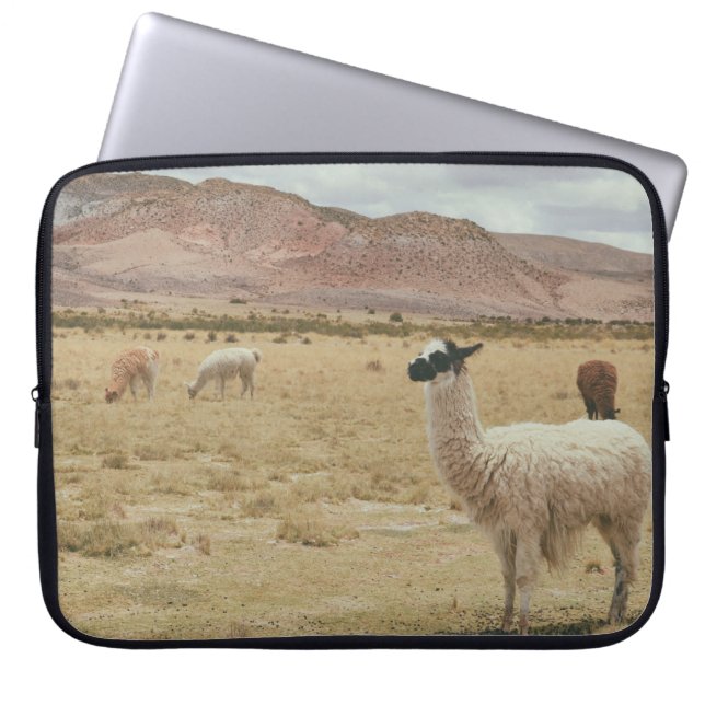WEISSE LLAMA AUF BROWN GRASS LAPTOPSCHUTZHÜLLE (Vorderseite)