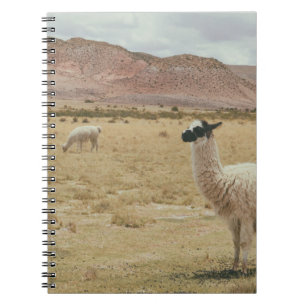 WEISSE LLAMA AUF BROWN GRASS NOTIZBLOCK