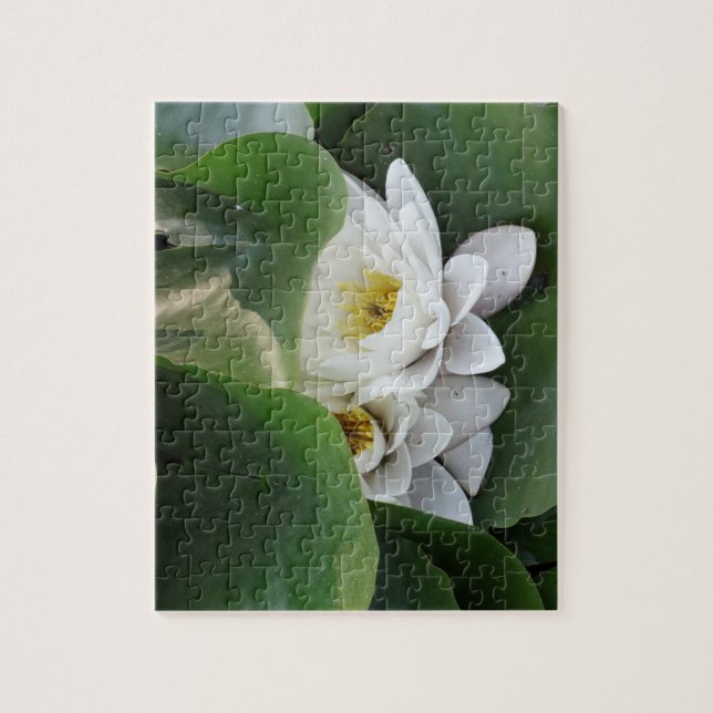 Weiße Lotus-Blume, botanisch Puzzle (Vertikal)