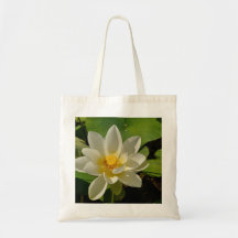 Weiße Lotus-Blume im Teich