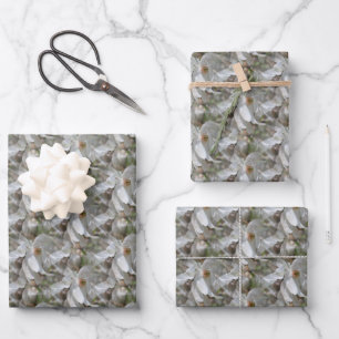 Weiße Magnolia-Blume blüht Natur   Geschenkpapier Set