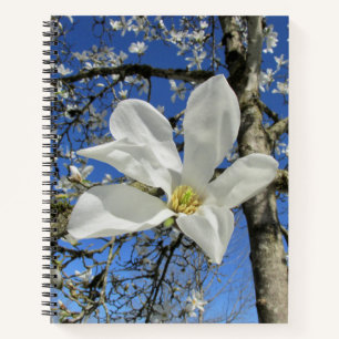 Weiße Magnolia-Blume in Bäumen. Notizbuch