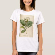 Weiße Magnolia-T - Shirt