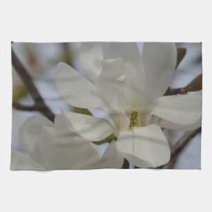 Weiße Magnolie blüht im Frühling Handtuch