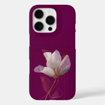 Weiße Magnolie Goldlinien Magenta