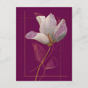 Weiße Magnolie Goldlinien Magenta Postkarte