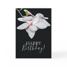 Weiße Magnolie