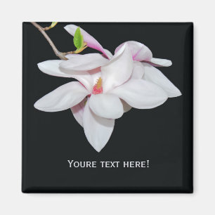 Weiße Magnolie Magnet
