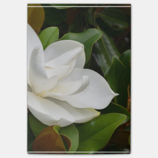 Weiße Magnolie Post-it Klebezettel