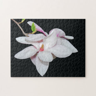 Weiße Magnolie Puzzle