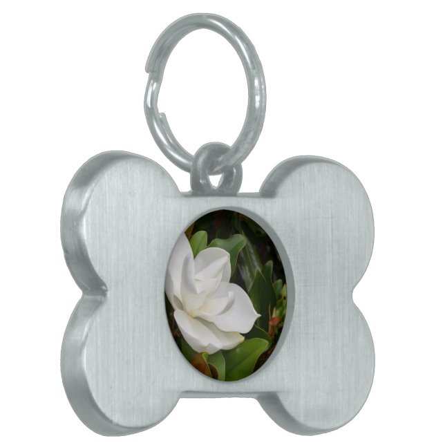 Weiße Magnolie Tiermarke (Vorderseite links)
