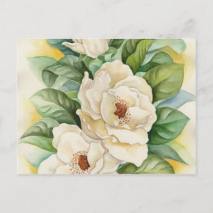 Weiße Magnolien-Blüten-Kunst im Vintage-Stil Postkarte