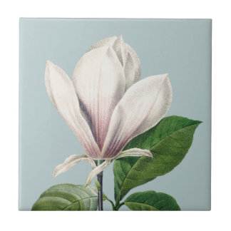 Weiße Magnolien-Keramikfliese Fliese