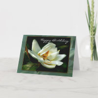 Weiße Magnolien mit grüner Grenze
