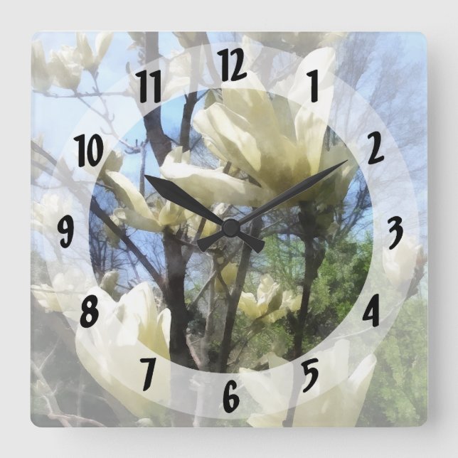 Weiße Magnolien-Niederlassungen Quadratische Wanduhr (Vorderseite)