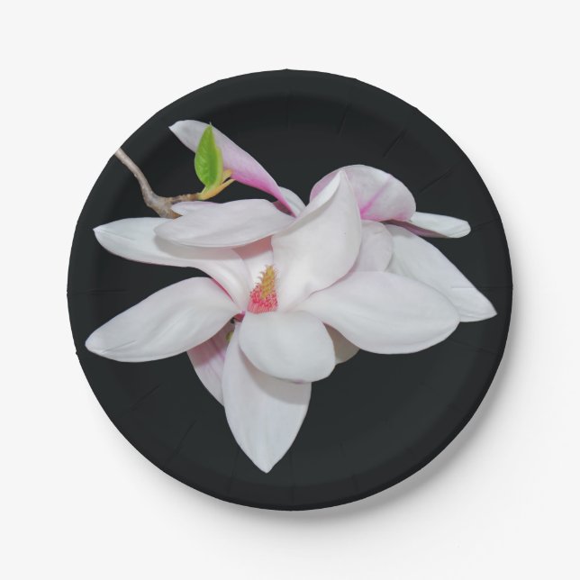 Weiße Magnolien Pappteller (Vorderseite)