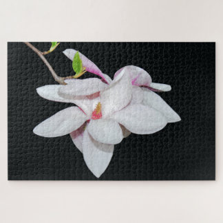 Weiße Magnolien Puzzle