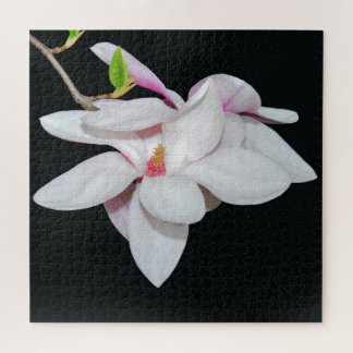 Weiße Magnolien Puzzle