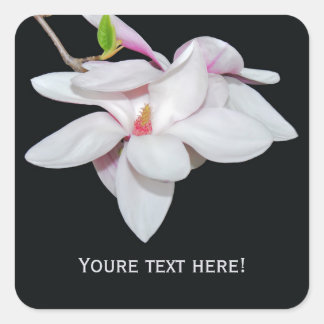 Weiße Magnolien Quadratischer Aufkleber