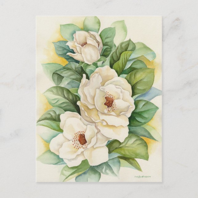 Weiße Magnolien Vintage blühende Blume Art Postkarte (Vorderseite)