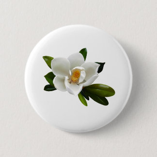 weiße Magnolienblüte Button