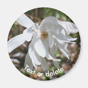 Weiße Magnolienblüten-Personalisierung Magnet