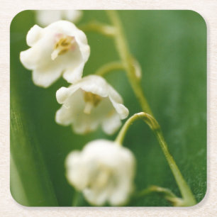 Weiße Maiglöckchen (Convallaria majalis) Rechteckiger Pappuntersetzer