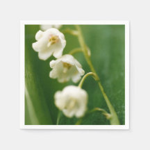 Weiße Maiglöckchen (Convallaria majalis)