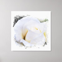 *~* Weiße Makro Rose Floral AR8