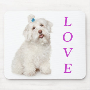 Weiße malteser Welpen-Mauspad Mousepad