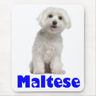 Weiße malteser Welpen-Mauspad Mousepad