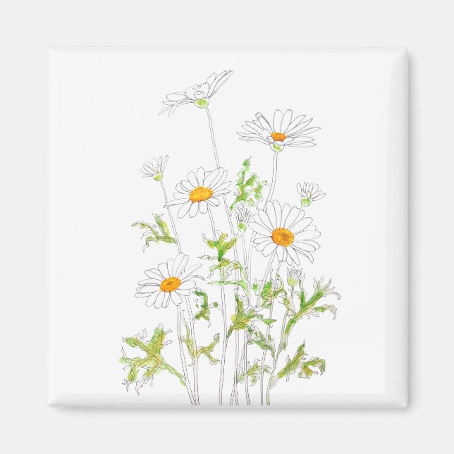 Weiße Margaret-Farbe und Aquarellfarbe Magnet (Vorne)