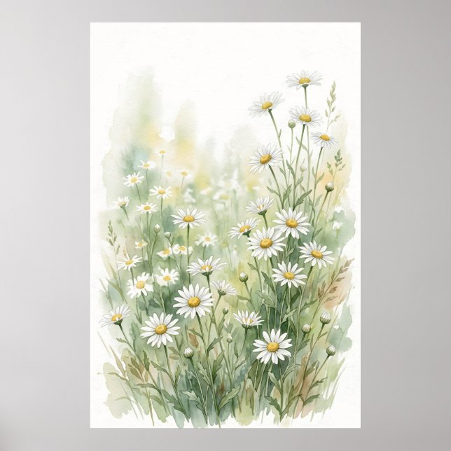 Weiße Margerite Wildblume Wasserfarben Poster (Vorne)
