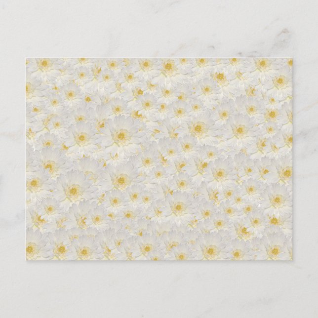 Weiße Mäuse Postkarte (Vorderseite)