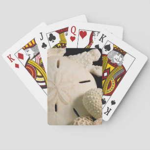 Weiße Meeresmuscheln und Sand-Dollar Spielkarten