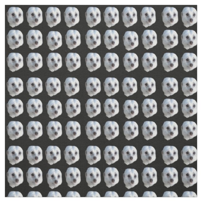 Weiße Meerkat-Gesichter auf Schwarz, Stoff (Muster)