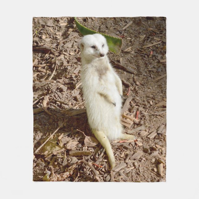 Weiße Meerkat, mittelfläschchen. Fleecedecke (Vorderseite)