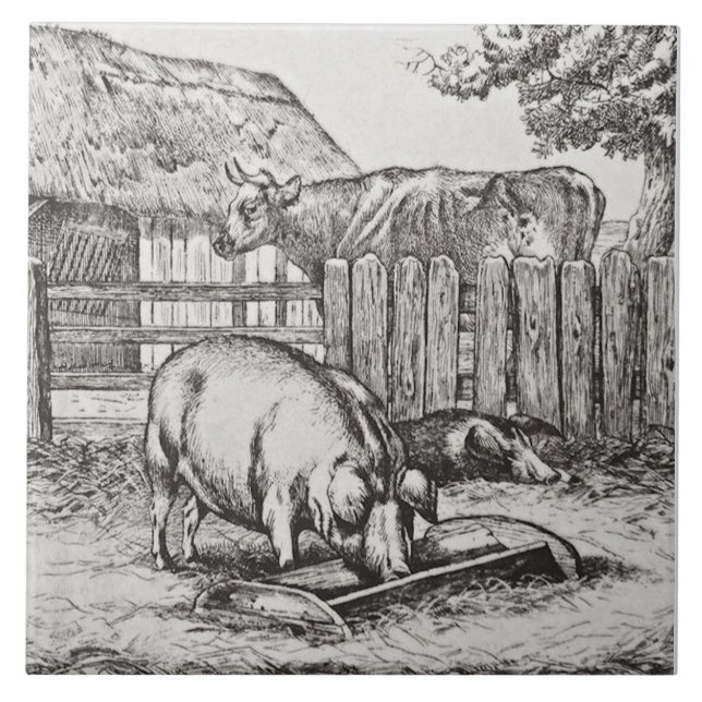 Weiße Minton Farmtiere Schweine Tile Repro c 1879 Fliese (Vorderseite)