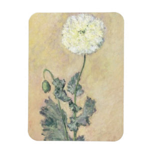 Weiße Mohnblume Claude Monets  , 1883 Magnet